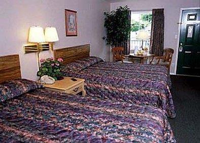 Surrey Inn Брэнсон Номер фото